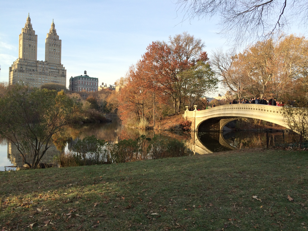 fallcentralpark