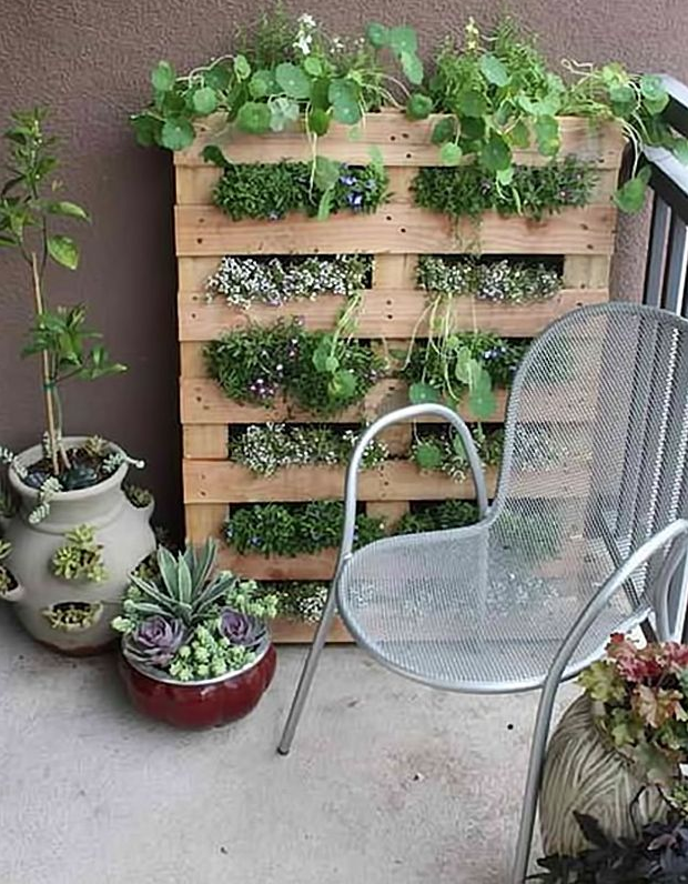 City Gardening Ideas