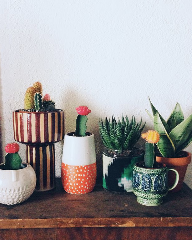 City Gardening Ideas