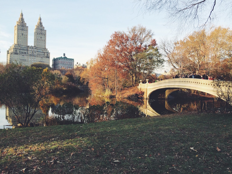 Autumn in Central Park