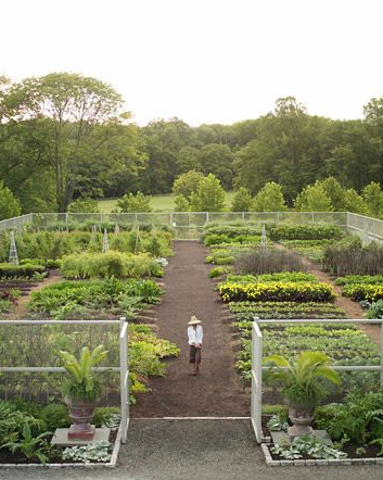 Dream Garden