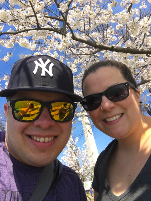 Cherry Blossoms, Washington DC, March 2016