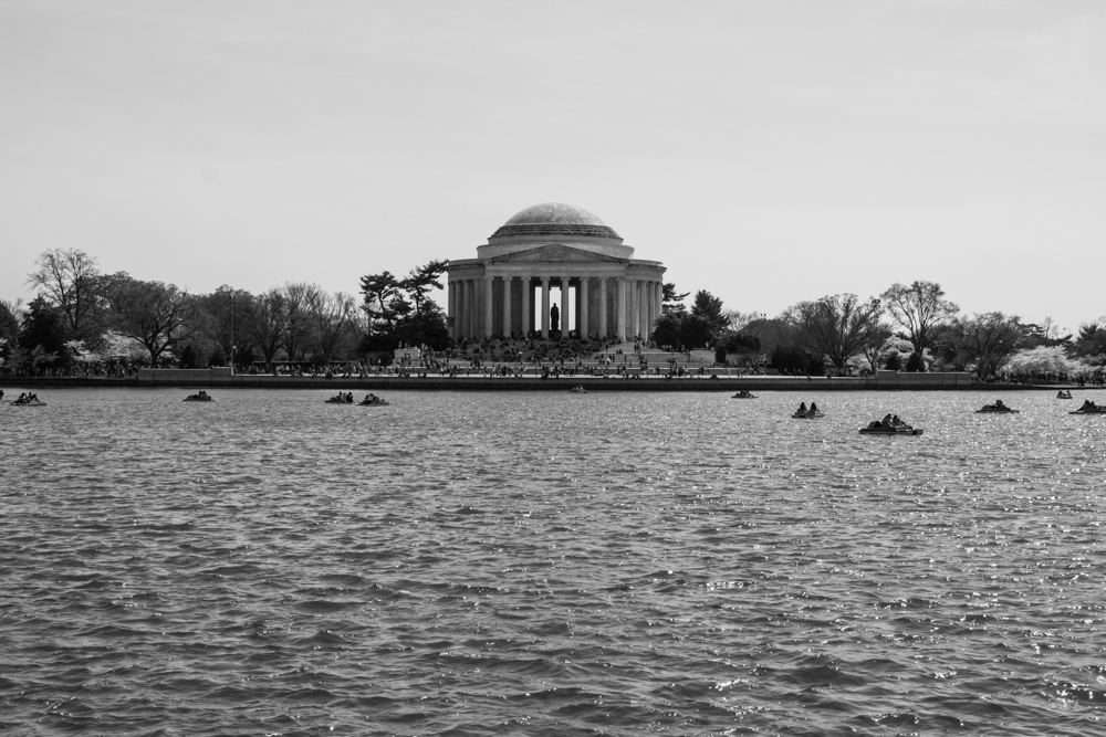 Tidal Basin, Washington DC, March 2016